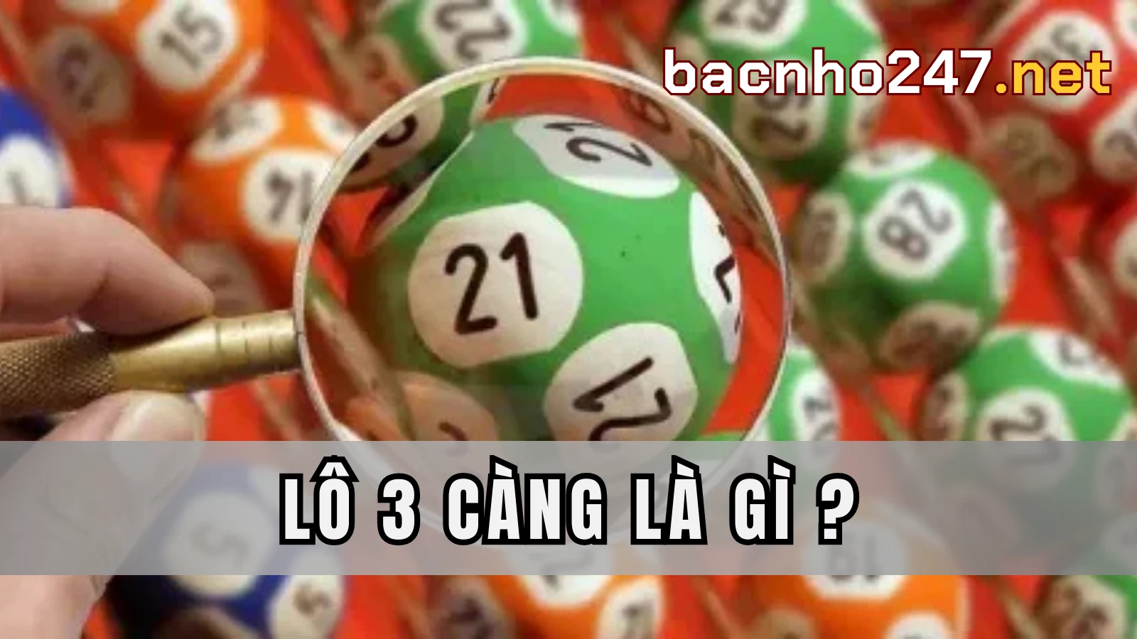 Lô 3 càng miền Bắc là gì?