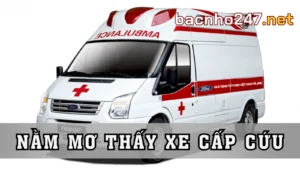 Gợi Ý Con Số Khi Mơ Thấy Xe Cấp Cứu